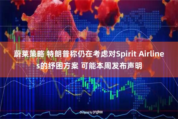 蔚莱策略 特朗普称仍在考虑对Spirit Airlines的纾困方案 可能本周发布声明